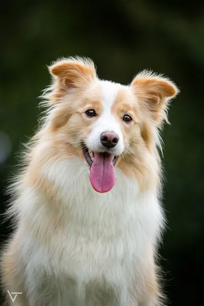 Alessia In Your Shadow I Can Shine