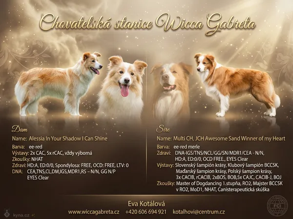 Final flyer - softer variant