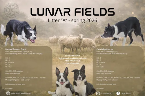 Canva pokus 1 – vlastní návrh chovatelky