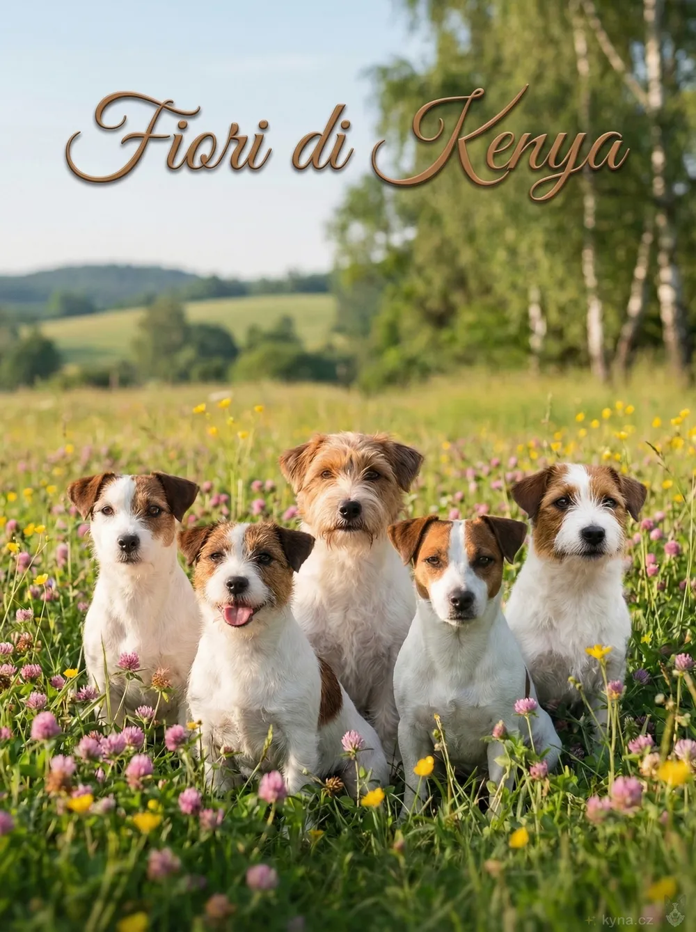 Skupinový portrét smečky Fiori di Kenya