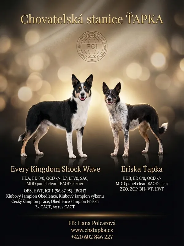 Výsledný leták - varianta 2