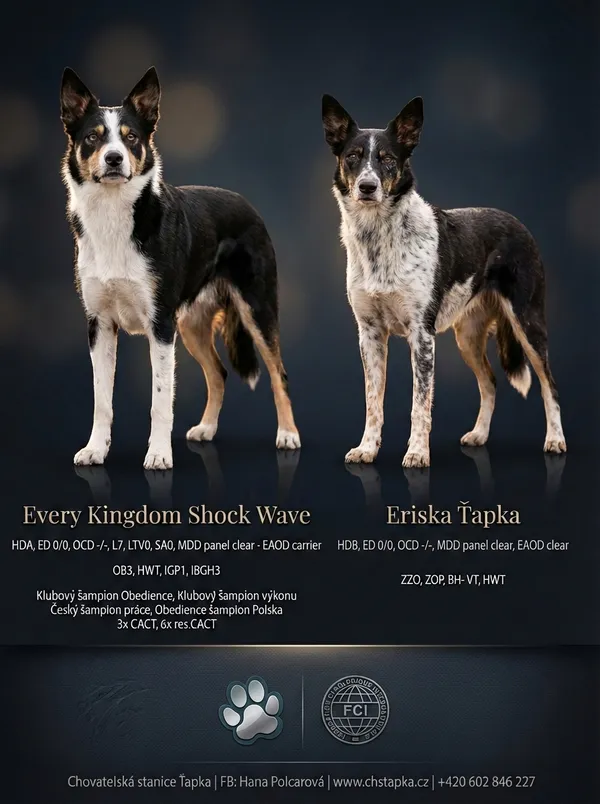 Výsledný leták - varianta 4