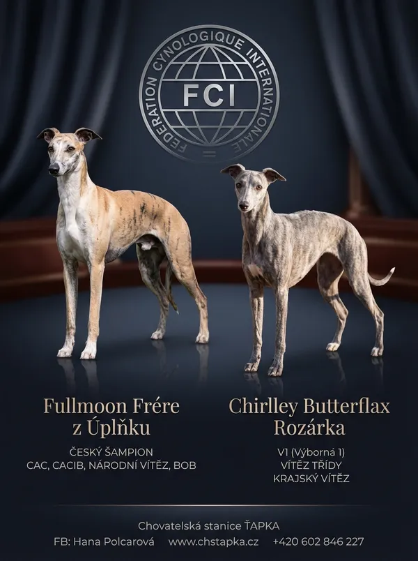 Final flyer - Royal Satin