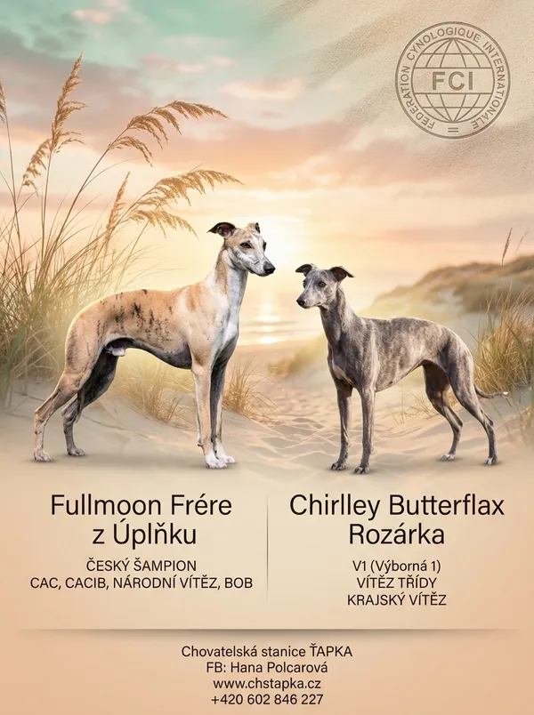 Final flyer - Golden Dunes