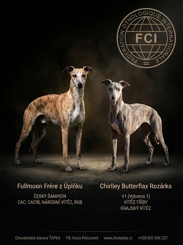 Final flyer - Sculptural Noir